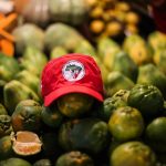 Feira Nacional da Reforma Agrária