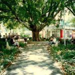 Praca vilaboim