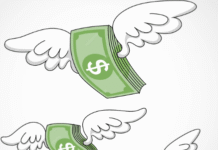 Jair Tatto apresenta emenda pelo fim do orçamento de ficção Dinheiro voando