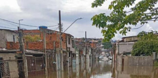 Bancada do PT conquista vitória judicial: Justiça determina instalação de duas CPIs na Câmara de SP Jardim pantanal