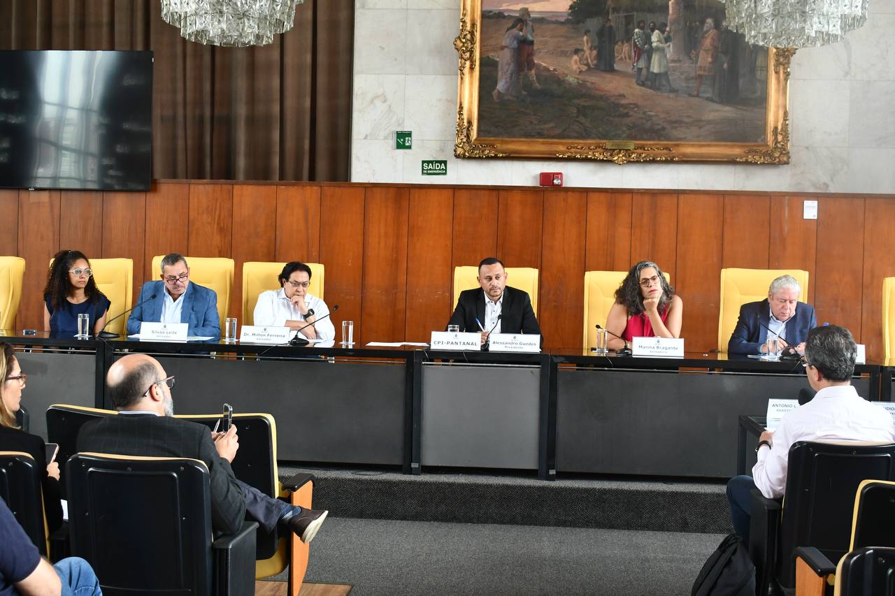 WhatsApp Image 2026 02 26 at 17.03.24 (1)