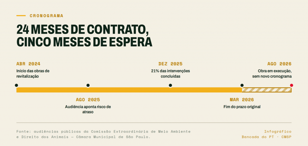 Info 01 cronograma